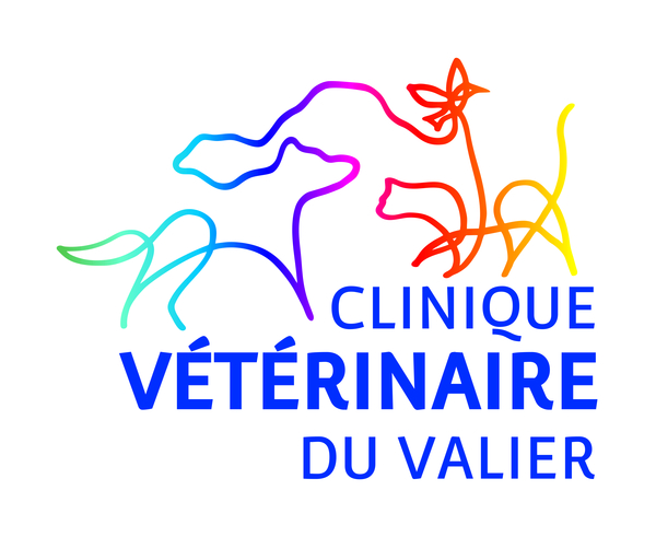 logo-CV du Valier