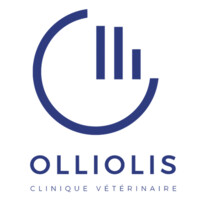 logo-olliolis