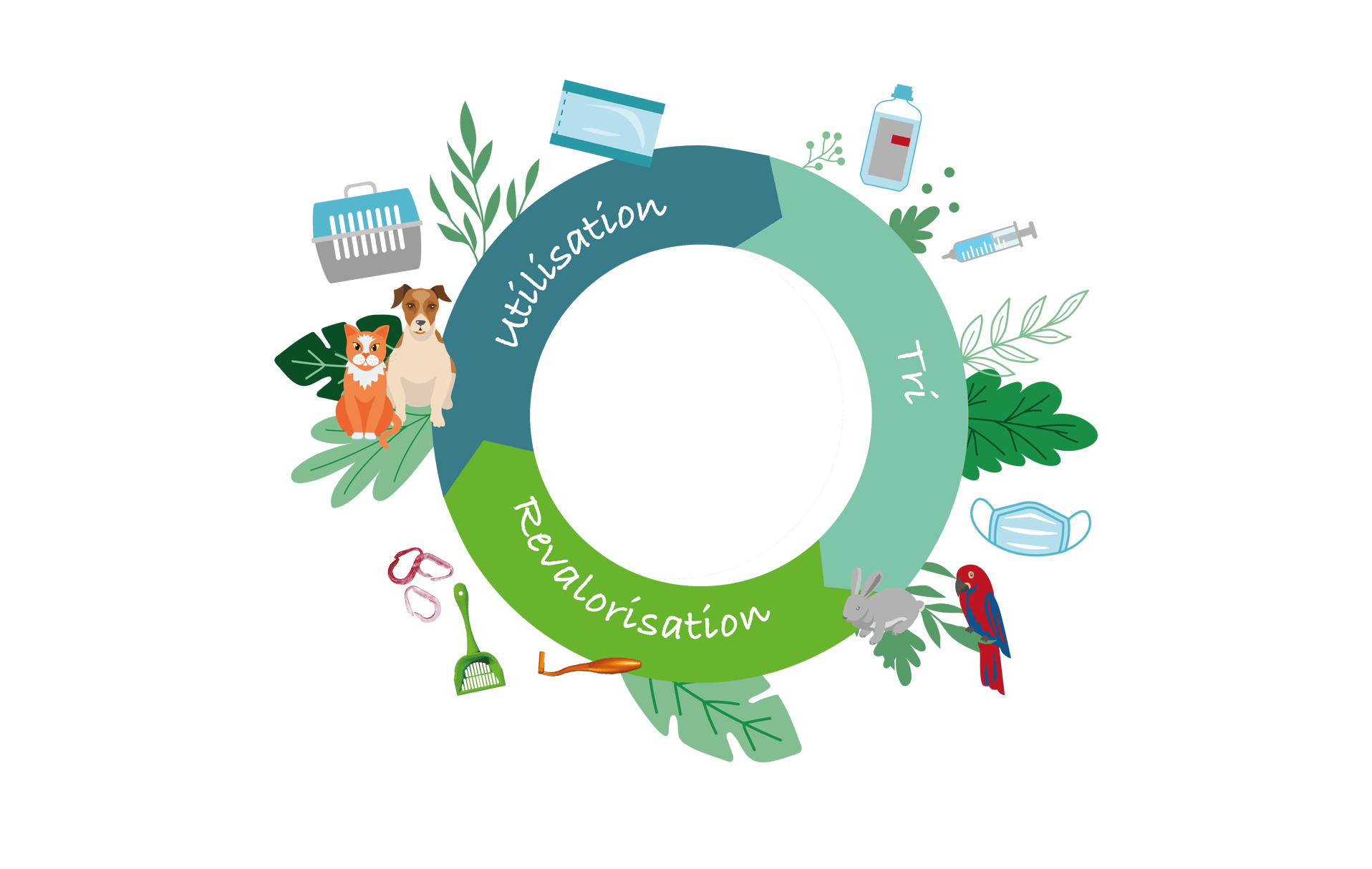 Fond-section-Home-pour-carrousel