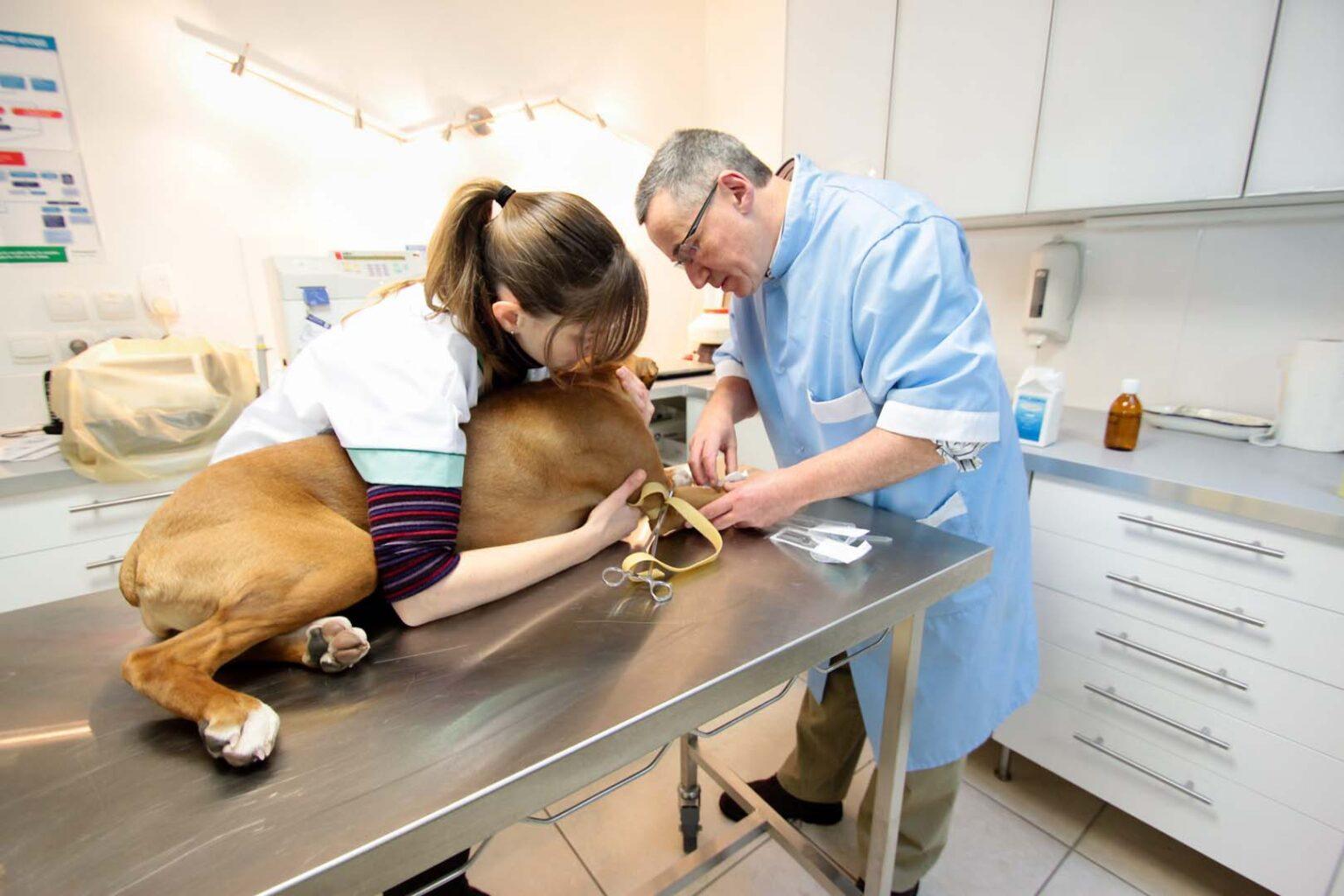 déchets plastiques médicaux et vétérinaires non dangereux plast to be