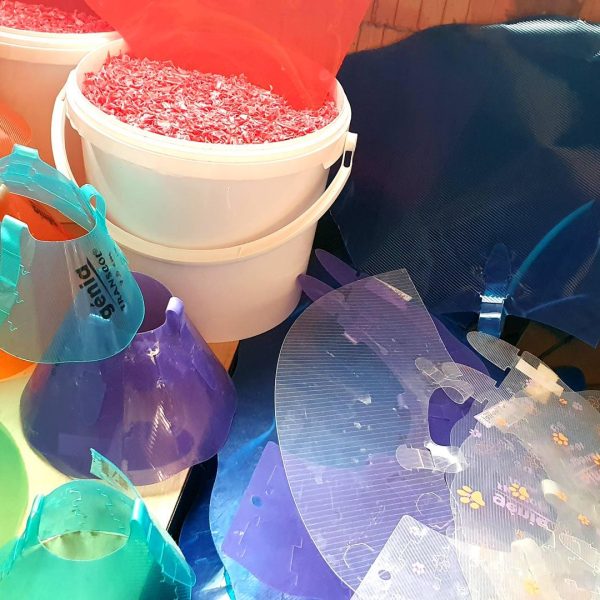 collecte-et-tri-déchet-plastique-vétérinaire,-colerette-plastique